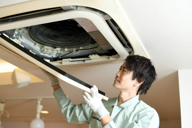 Best Home Air Vent Cleaning  in Trenton, MI